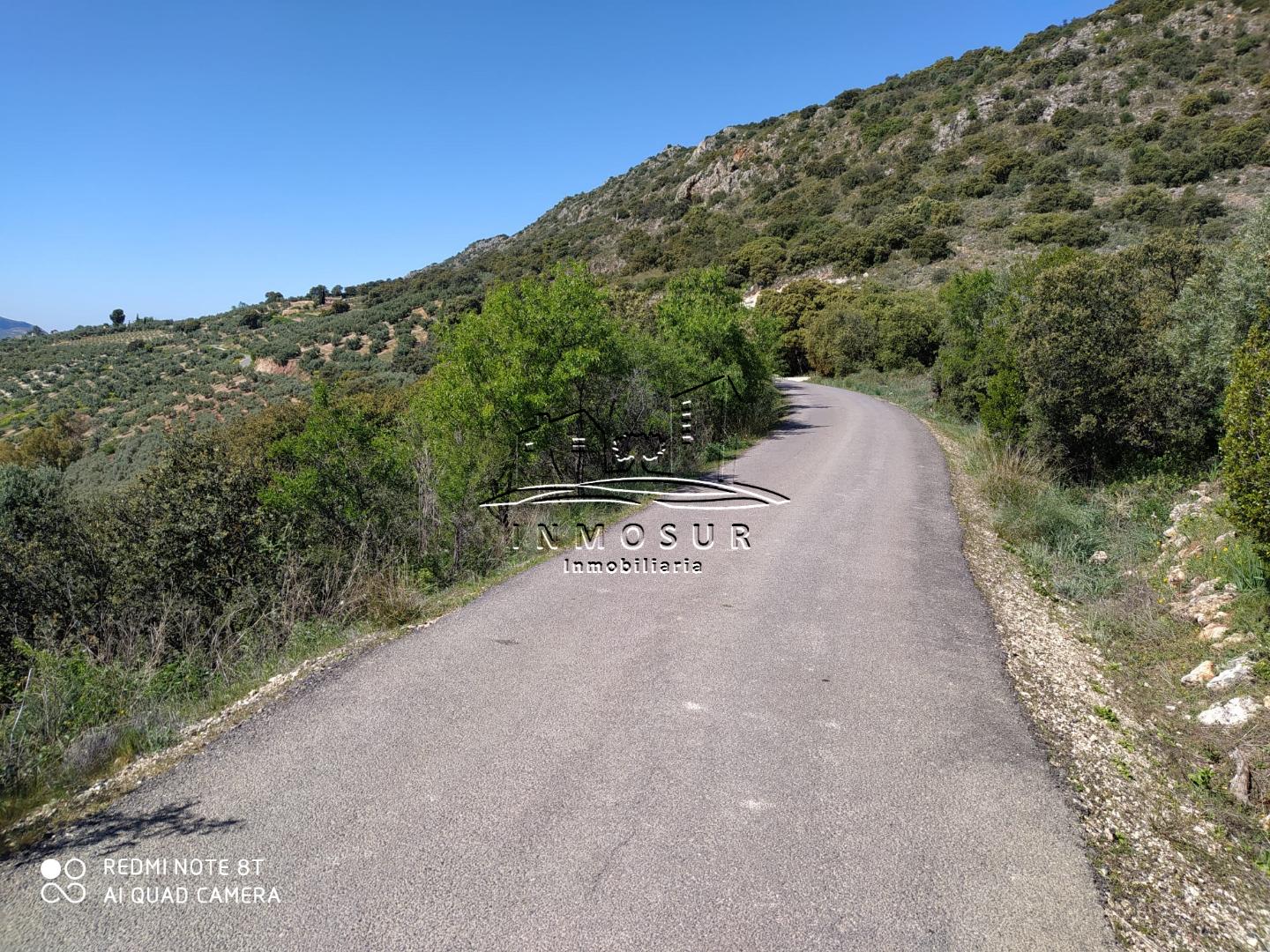 Finca de monte en los Juncares con una superficie de 20 has. Finca sujeta a especial protección paisajística. Zona con a