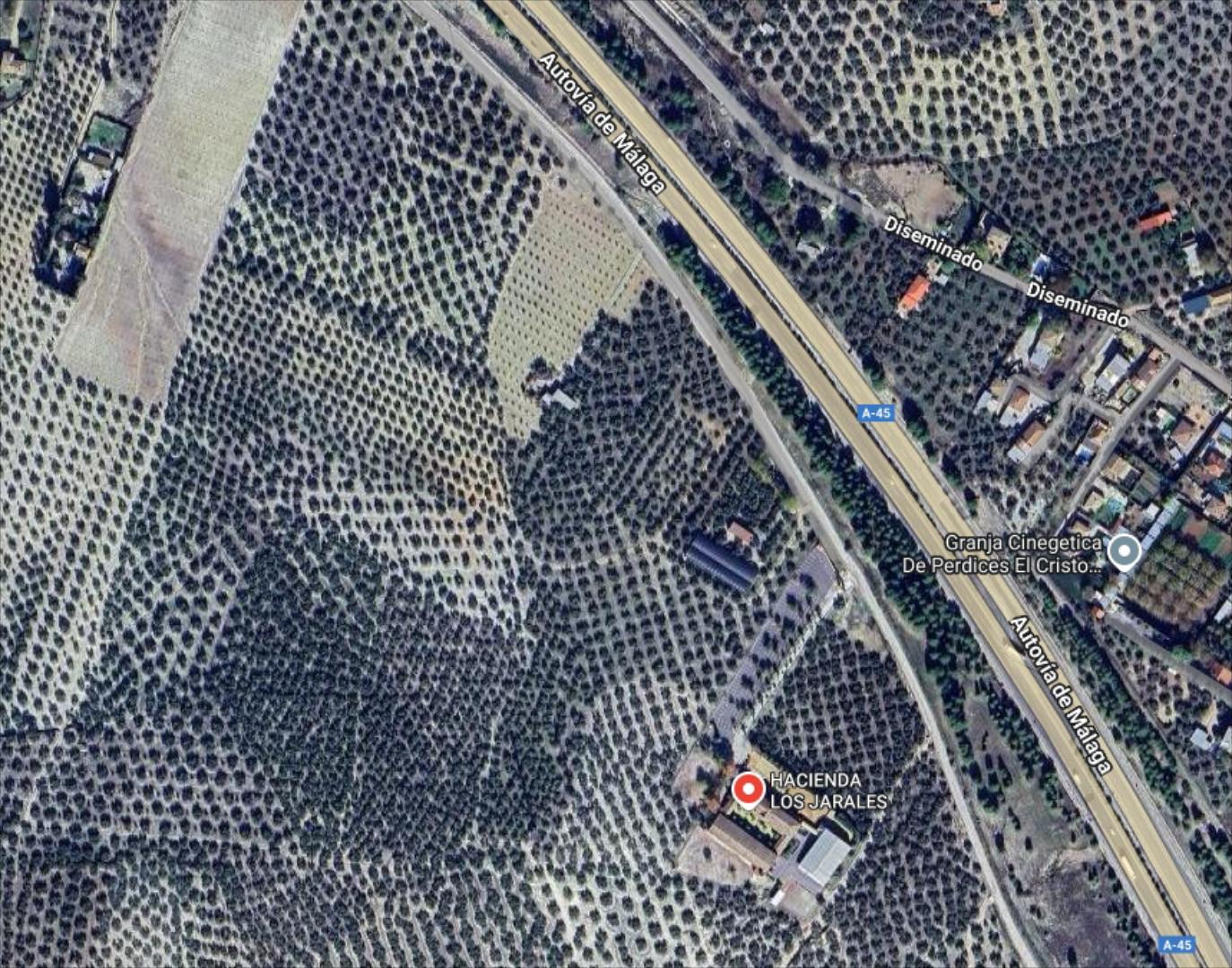 Parcela de terreno en zona Cristo Marroquí. Cuenta con una superficie de 4196 m2. y una edificación de 100 m2. con un am