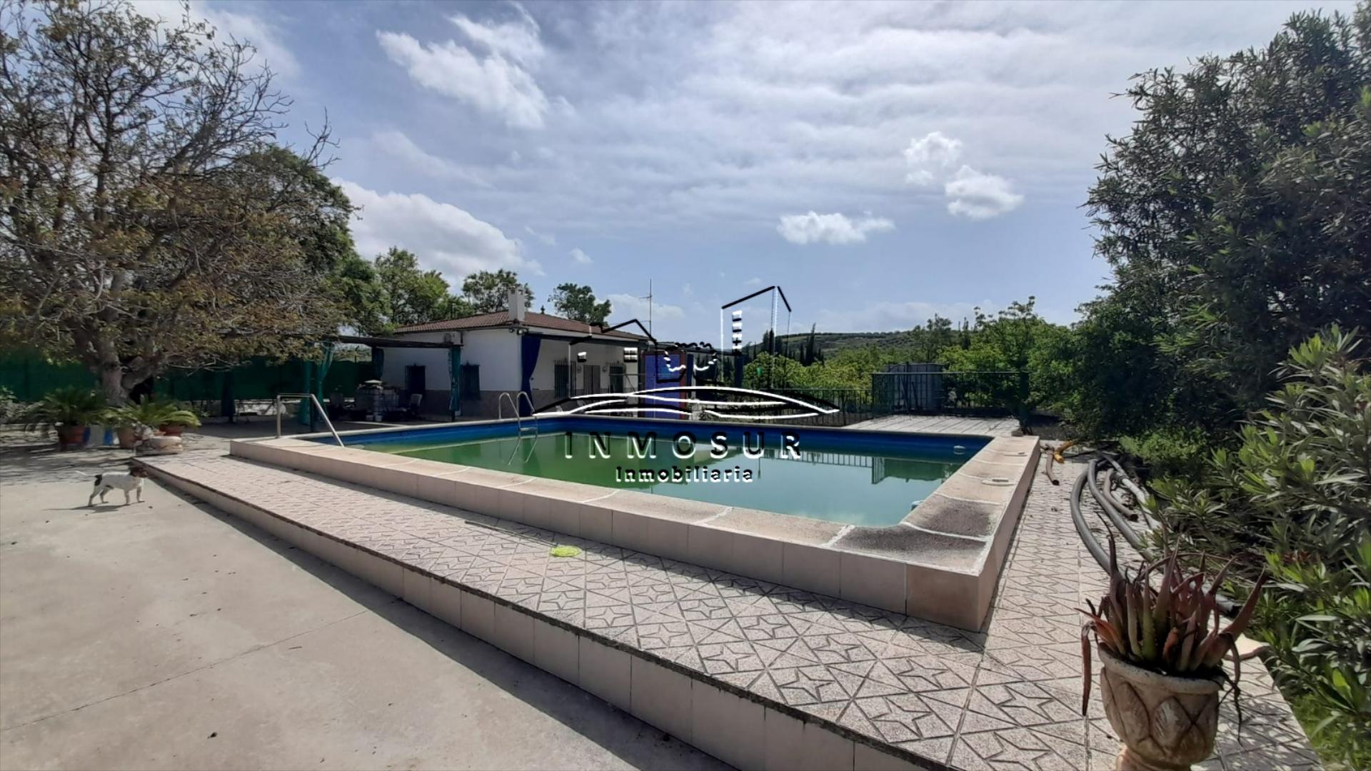 Chalet en zona la Torca. Cuenta con una parcela de 4500 m2. y dispone de una vivienda en una planta con porche, salón-co