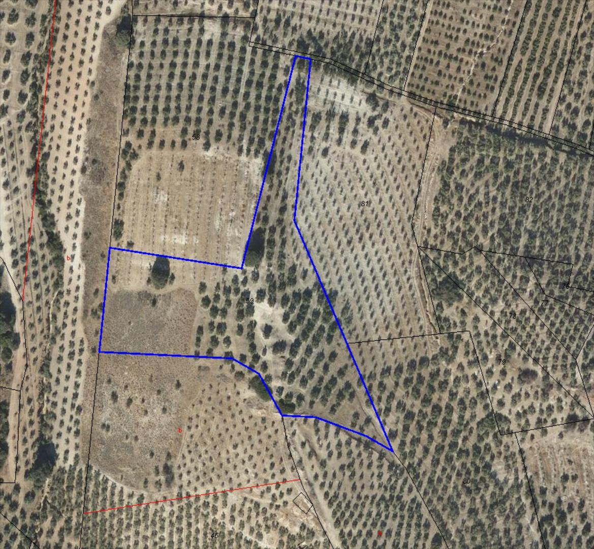 Finca de olivar en zona Cortijo San José. Cuenta con una superficie de 5 aranzadas. Olivo tradicional. Precio: 6.000 Eur